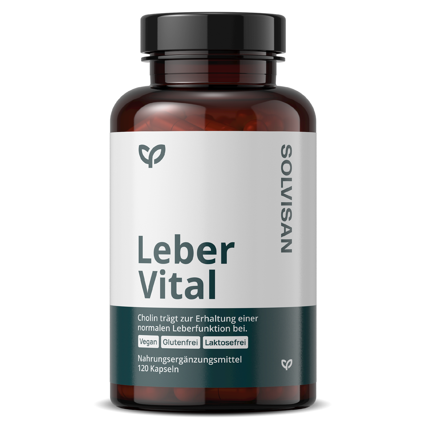 Leber Vital